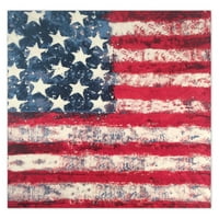 Стилизирани основи на потресена црвена, бела и сина американска знаме бандана, starsвезди и ленти, памук, 22 22