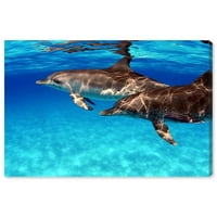 Студио Wynwood Studio Наутички и крајбрежен wallиден уметнички отпечаток на Атлантик забележан делфин од Дејвид