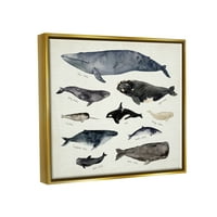 Stuple Industries гроздобер наутички табела на китови океански живот метален злато врамено лебдечко платно wallидна уметност, 16x20