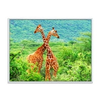 DesignArt 'Два жирафи се борат во бујна зелена дива ’фарма куќа врамена платно за печатење на wallидови од