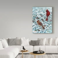 Трговска марка ликовна уметност „Зимска кардинална слика“ платно уметност од effеф Тифт