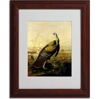 Трговска марка ликовна уметност Американски диви мисирки петел платно уметност од Johnон Jamesејмс Аудубон, рамка од дрво