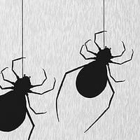 Едноставно Дејзи виси пајаци Белиот Ноќта на вештерките Ченил област, 18 30